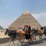Pyramids of Giza and Great Sphinx Half-Day Private Tour - Why This Tour Stands Out