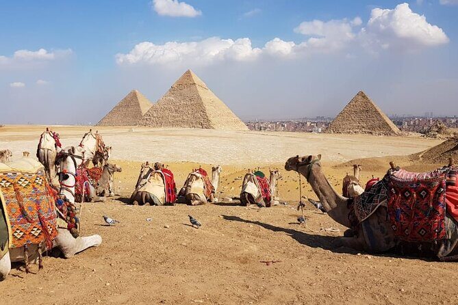 Pyramids of giza ,Sphinx,riding camel and driving a quad bick ATV. - Authenticity and Guide Experience