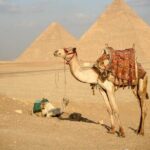 Pyramids, Sphinx & Tourist Bazaar Tour from Cairo Airport - The Sum Up