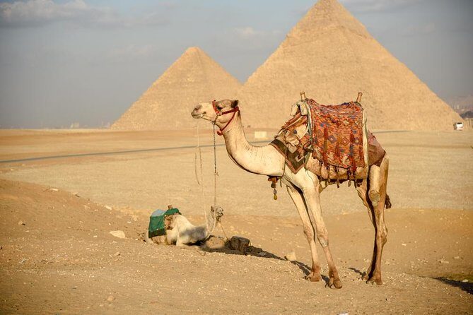Pyramids, Sphinx & Tourist Bazaar Tour from Cairo Airport - The Sum Up