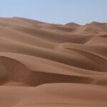 Qatar Desert Safari Adventure Experience . - Deep Dive into the Experience