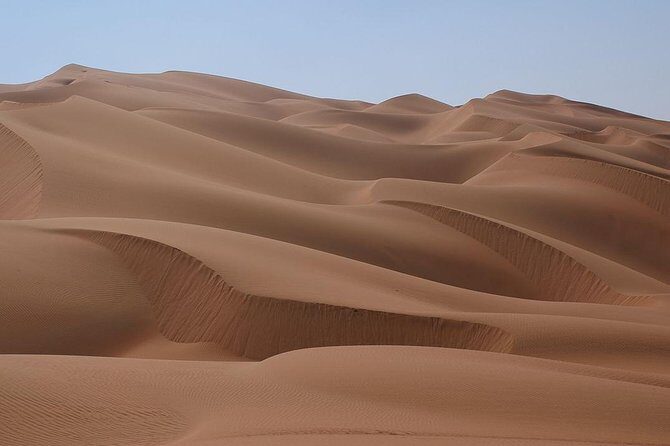 Qatar Desert Safari Adventure Experience . - Deep Dive into the Experience