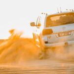 Qatar: Sunrise or Sunset Desert Tour in Doha, unforgettable trip - Who Will Love This Tour?