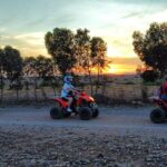 Quad Adventure in Palmeraie - Price and Value Considerations