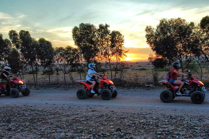 Quad Adventure in Palmeraie - Price and Value Considerations