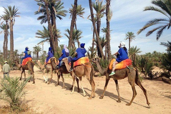 Quad and Camel ride in the palmgrove of Marrakech - Why This Tour Offers Value for Money