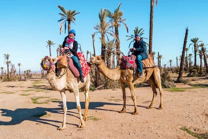 Quad Bike and Camel Ride in Marrakech Palmeraie - Authenticity and Scenic Highlights