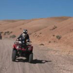 Quad bike and camel ride in the palm grove - Key Points