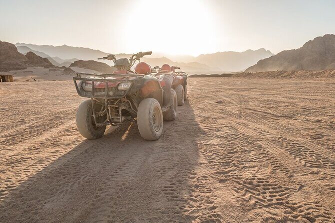 Quad Bike Desert Adventure in Sharm El Sheikh - What’s the Value?