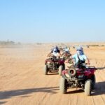 Quad Bike, Jeep, Camel, Sunset, Dinner and Stargazing in Hurghada - Who Is This Tour Best For?