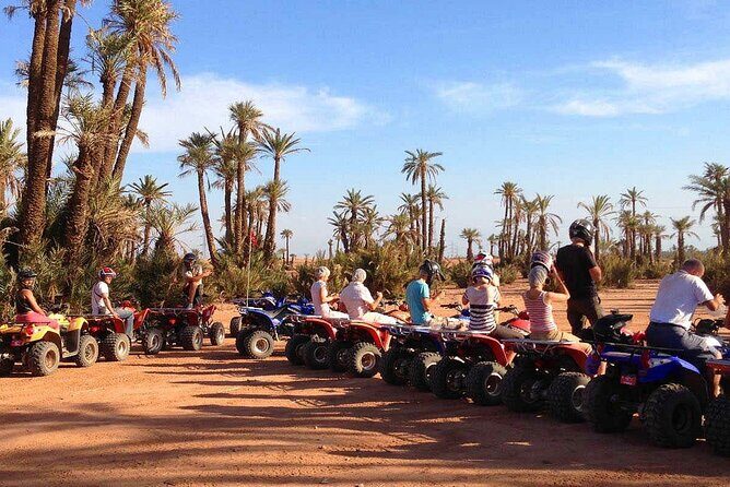 Quad bike ride palm grove Desert of Marrakech mountain bike - What Reviewers Love Most