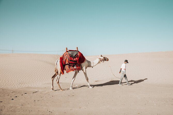 Quad Bike Tour in Jeddah - FAQ