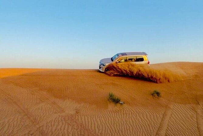 Quad Bike Tour with Camel Ride, Sandboarding, BBQ & Live Shows - Practical Considerations