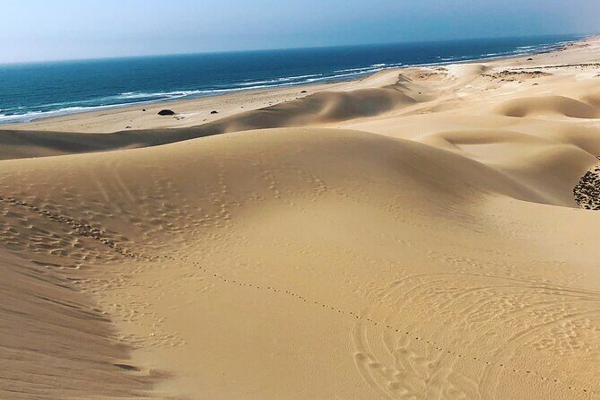 Quad Biking and Sandboarding on Sand Dunes Wild Beach - Why This Tour Is a Great Choice