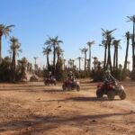 Quad Biking & Dromedary Riding - An Overview of What to Expect