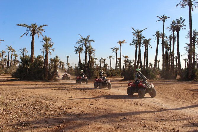 Quad Biking & Dromedary Riding - An Overview of What to Expect