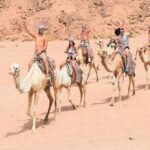 Quad Biking Safari-Camel Ride-Bedouin Dinner and Shows From Sharm - Practical Tips for Booking and Enjoying the Tour
