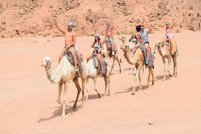 Quad Biking Safari-Camel Ride-Bedouin Dinner and Shows From Sharm - Practical Tips for Booking and Enjoying the Tour