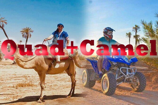Quad palmeraie Marrakech et balade chameau transport inclus - Value and Pricing: Is It Worth It?