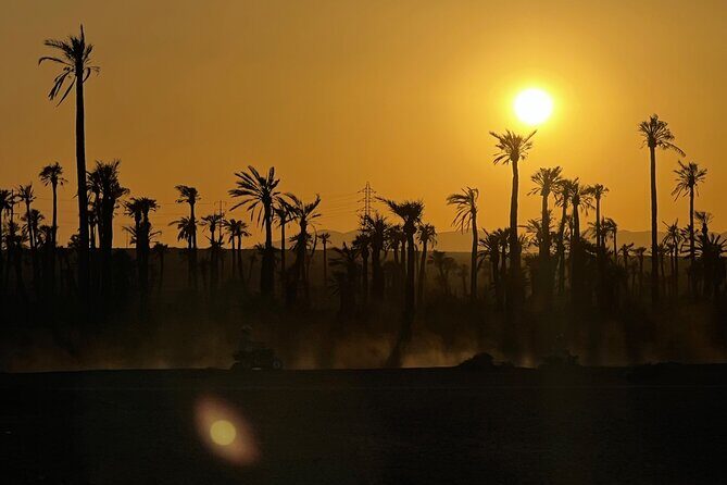 Quad tour to La Palmeraie de Marrakech - What Makes This Tour Stand Out?