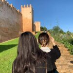 Rabat old Medina ,Hassan Tower and Kasbah Oudaya Walking tour - Practical Details: What the Tour Offers and Why It Matters