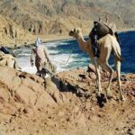Ras Abu Gallum & Blue Hole Snorkel Safari by Jeep and camel - Authentic Insights from Reviewers