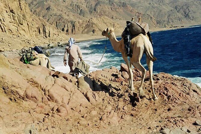 Ras Abu Gallum & Blue Hole Snorkel Safari by Jeep and camel - Authentic Insights from Reviewers