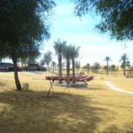 Ras Al Khaimah: Afternoon Desert Safari and BBQ Dinner - What We Love About the Tour