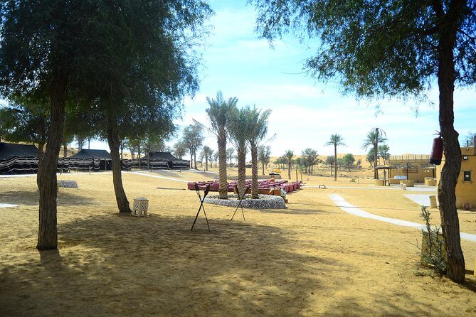 Ras Al Khaimah: Afternoon Desert Safari and BBQ Dinner - What We Love About the Tour