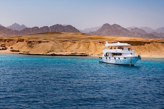 Ras Mohamed and White Island Snorkeling Trip and One Stop Diving-Sharm El Shiekh - Who Is This Tour Best For?