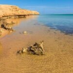 Ras Mohamed by bus & snorkelling & magic lake in Sharm El Sheikh - The Itinerary Breakdown: What to Expect
