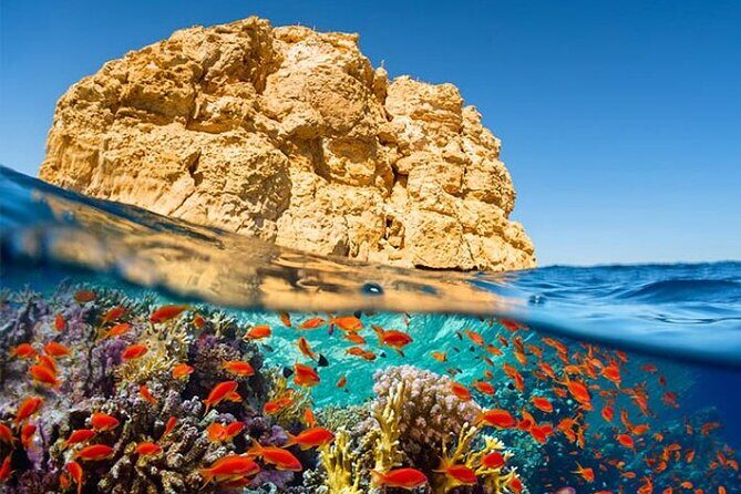 Ras Mohamed by Bus with Snorkeling and Magic Lake From Sharm - Authentic Experiences and Review Insights
