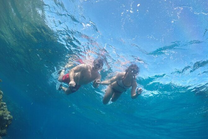 Ras Mohamed Full Day White Island on a yacht Sharm-el-Sheikh - The Value and Practicalities