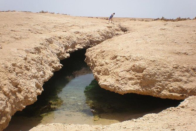 Ras Mohamed National Park Half Day Bus Trip From Sharm El Sheikh - Why This Tour Is a Solid Choice