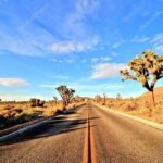 Ras Mohamed National Park Half Day by Bus - Sharm El Sheikh - Practical Tips for Travelers