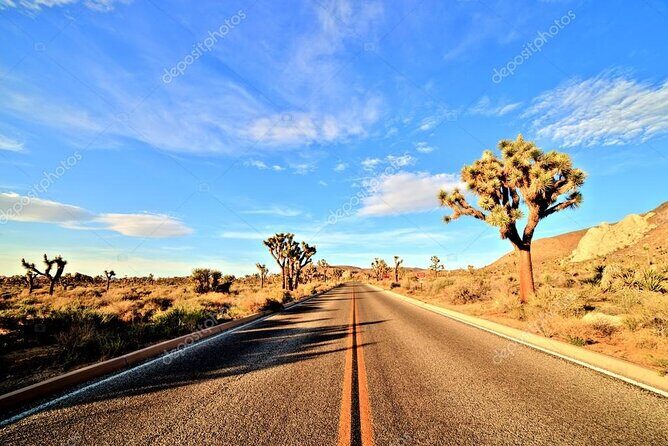 Ras Mohamed National Park Half Day by Bus - Sharm El Sheikh - Practical Tips for Travelers