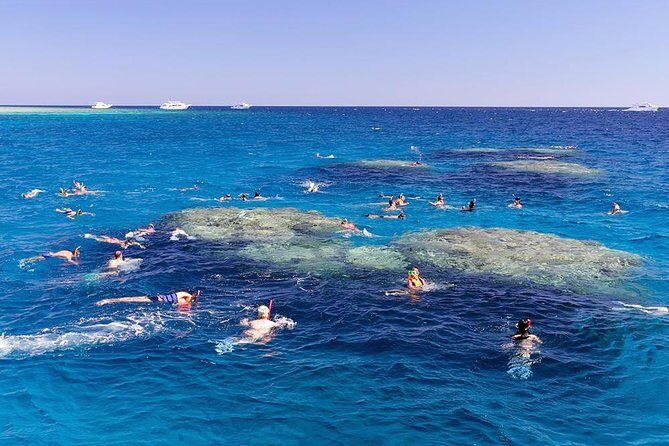 Ras Mohamed Park and the White Island snorkeling tour by boat - What Makes This Tour Stand Out?
