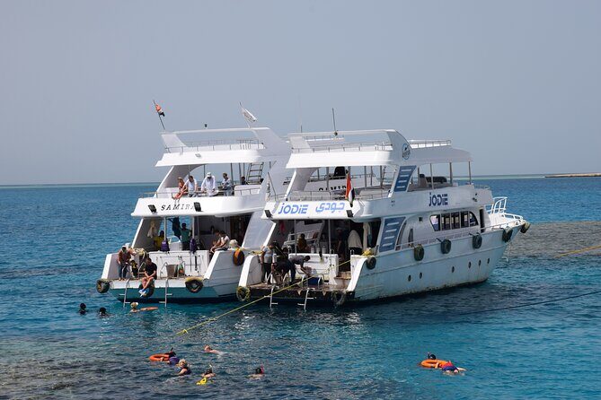 Ras Mohamed & White Island from Sharm El Sheikh by boat - What Travelers Are Saying
