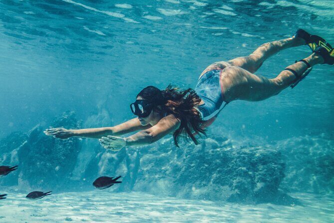 Ras Mohamed & White Island, Snorkeling & Diving - Sharm el sheikh - Why This Tour Works Well for Different Travelers
