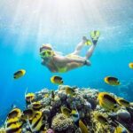 Ras Mohammed and White Island Snorkeling Sea Trip with Lunch - The Value of This Tour