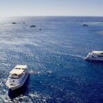 Ras Mohammed Diving & White Island Luxurious Cruise with Lunch - An In-Depth Look at the Experience