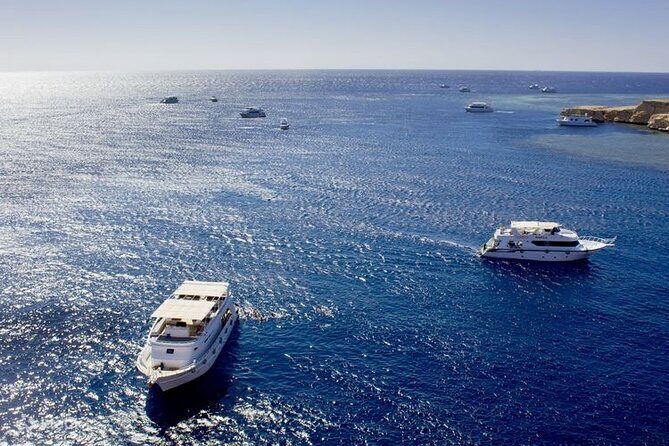 Ras Mohammed Diving & White Island Luxurious Cruise with Lunch - An In-Depth Look at the Experience