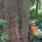 Rau Forest Bike tour - The Experience in Context