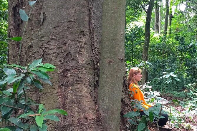 Rau Forest Bike tour - The Experience in Context