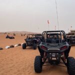 Red Dune Desert Safari Camel Ride, Sandboarding with BBQ Dinner - Additional Considerations and Tips