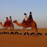 Red Dune Desert Safari Dubai Camel Ride Sandboarding & BBQ Dinner - Logistics & Practicalities