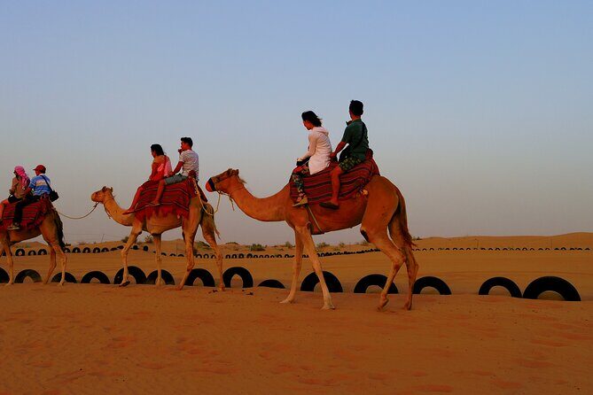 Red Dune Desert Safari Dubai Camel Ride Sandboarding & BBQ Dinner - Logistics & Practicalities