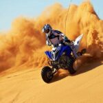 Red dune desert safari in dubai - Key Points