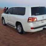 Red Dune Desert Safari & Quad Bike, BBQ Dinner. Camel Ride, Sandboarding - Final Thoughts: Who Should Book This Tour?