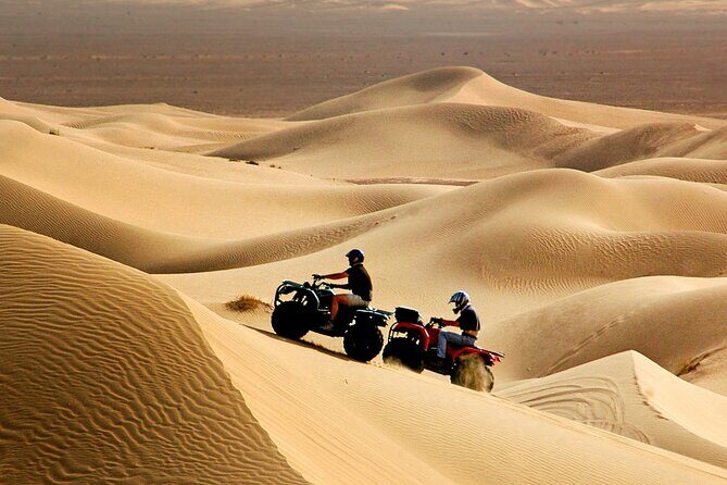 Red Dune Desert Safari Tour with Camel Ride & BBQ Experience - What We Love About This Tour